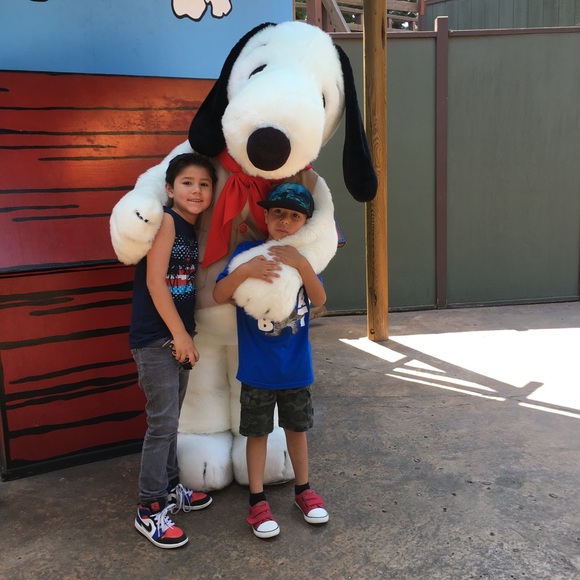 Meet your Posher, Annette - Picture 1 of 1